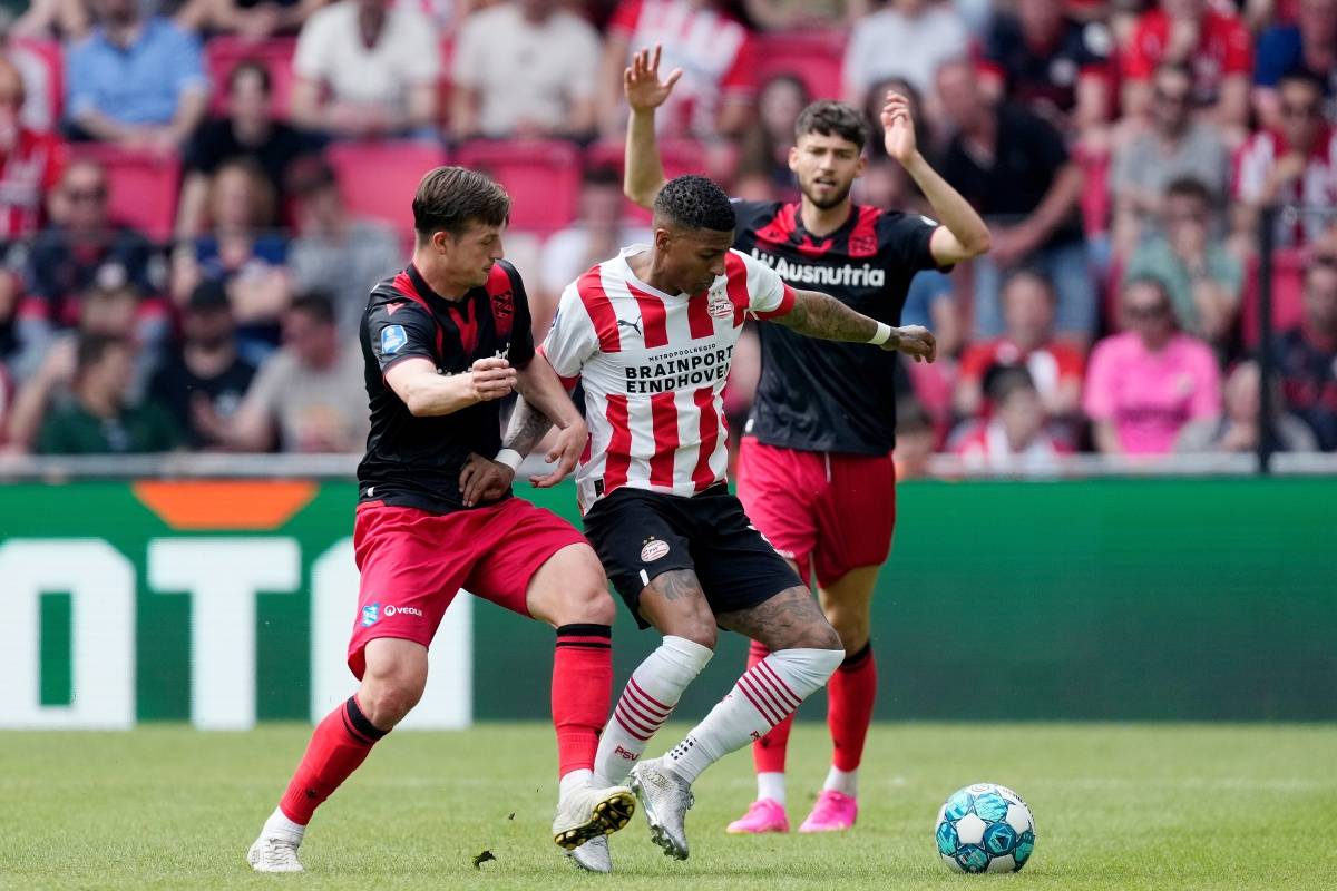 性和稳定性 性和稳定性