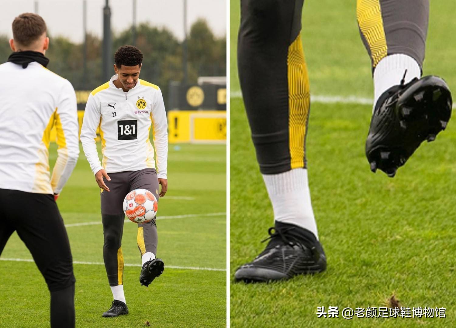 从年龄结构 从年龄结构